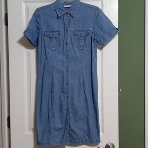 Lizwear Denim Dress